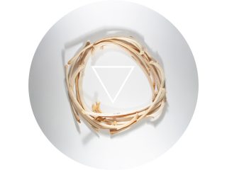 Ananke <br> Viola Arduini